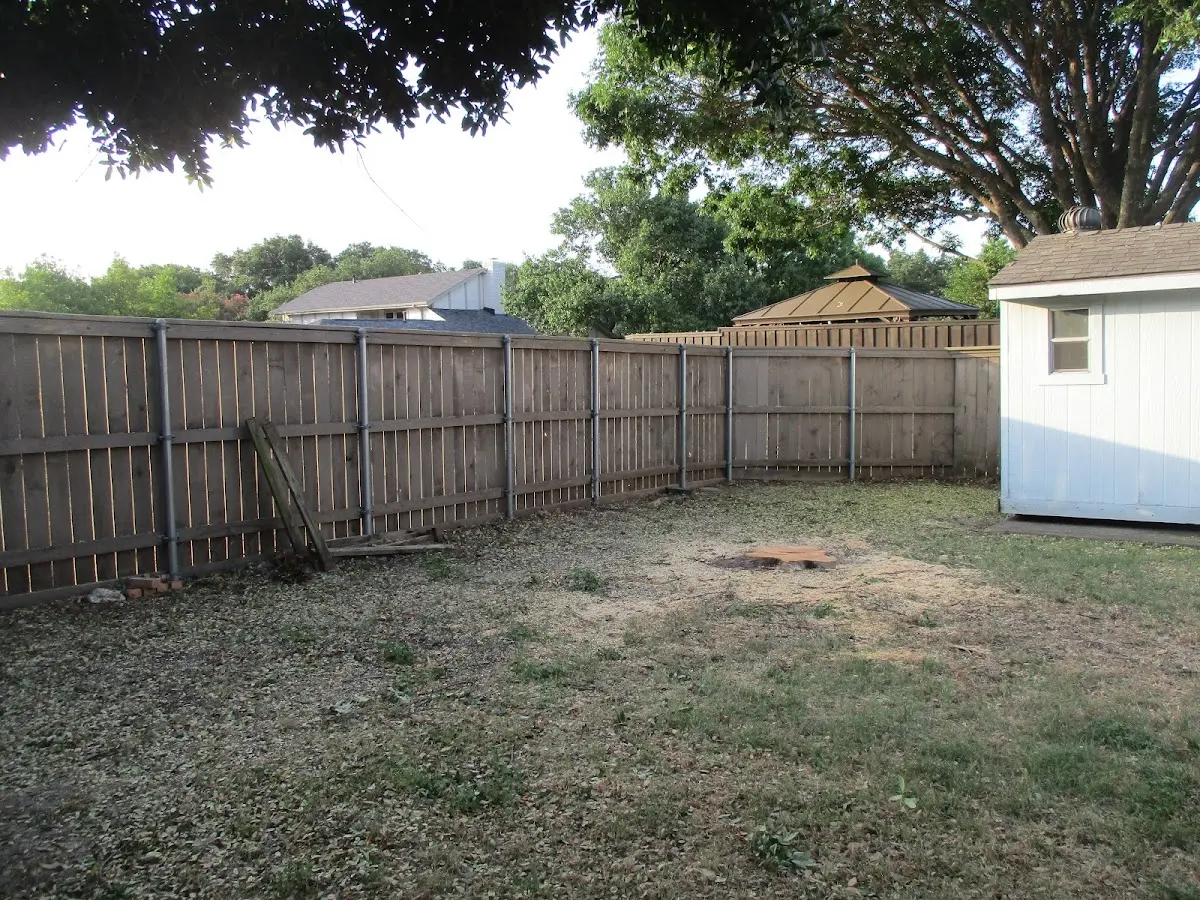 Cleared yard after professional tree removal in Clio